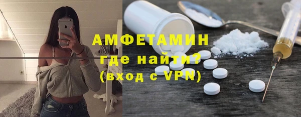дживик Инта