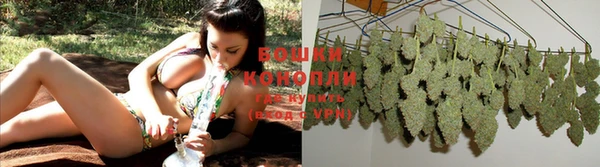 трава Иннополис