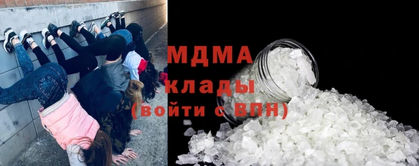 дживик Инта