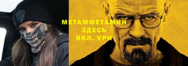 дживик Инта