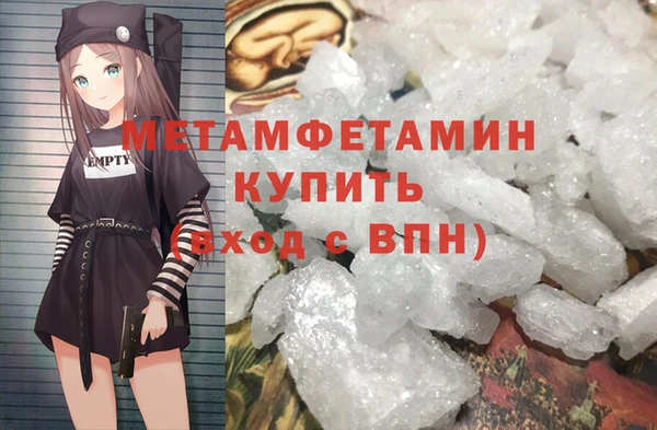 дживик Инта