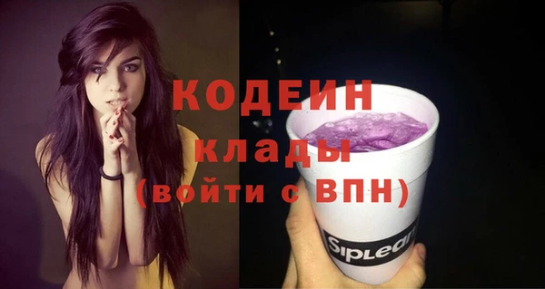 дживик Инта