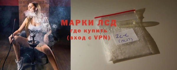 дживик Инта