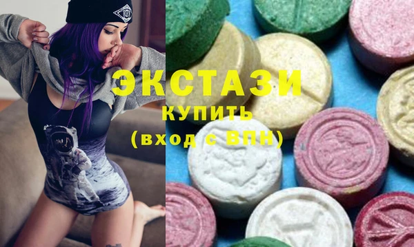 дживик Инта