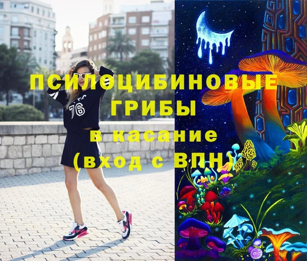 дживик Инта