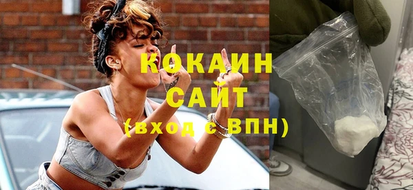 дживик Инта