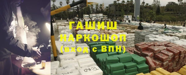 дживик Инта