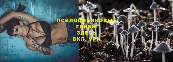трава Иннополис