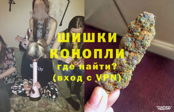 трава Иннополис