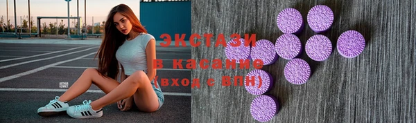 дживик Инта