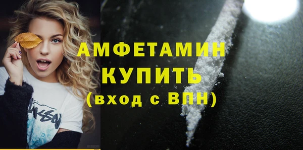 дживик Инта